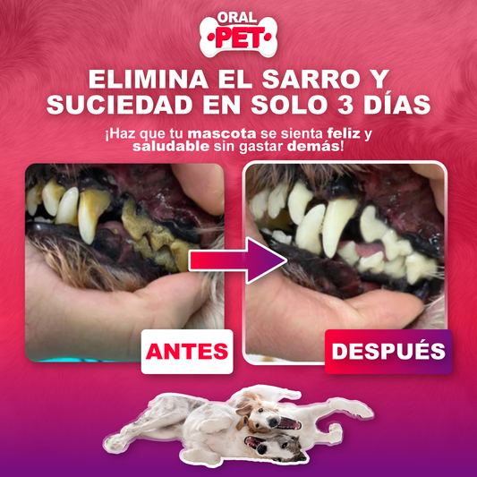 Oral Pet Spray Bucal Limpiador Mascotas